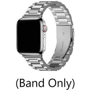49mm SIlver Watch Band